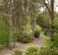 Mount Lofty Botanic Garden - Tourism TAS