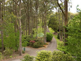 Mount Lofty Botanic Garden - Tourism TAS 0