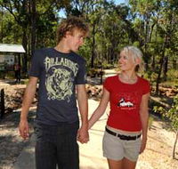 Crooked Brook Forest - Tourism TAS