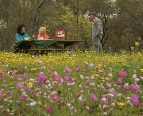 Gwambygine Park - Tourism TAS 0