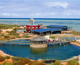 Shark Bay WA Tourism TAS