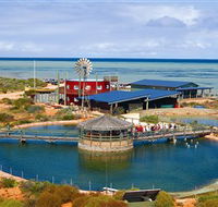 Ocean Park Aquarium - Tourism TAS
