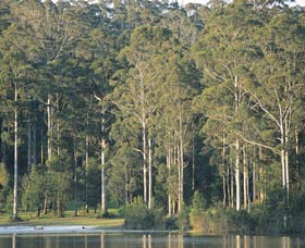 Big Brook Dam - Tourism TAS 0