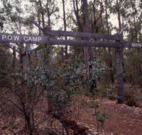 Marrinup Trail Dwellingup - Tourism TAS