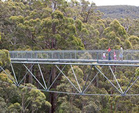 Nornalup WA Hobart Tourism