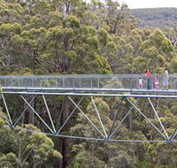 Walpole Wilderness Discovery Centre - Tourism TAS