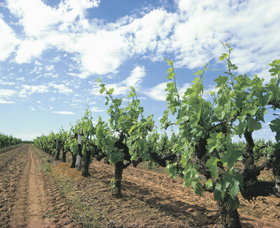 Alexandra Bridge WA Tourism TAS