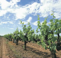 Blackwood Meadery - Tourism TAS
