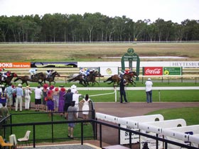 Pinjarra Race Club - Tourism TAS 0