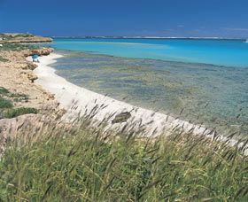 Paradise Beach - Hobart Tourism 0