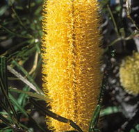 Moore River National Park - Tourism TAS