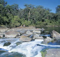 Frankland River - Tourism TAS