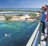 Shark Bay Marine Park - Tourism TAS