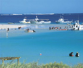 Bill's Bay - Hobart Tourism 0