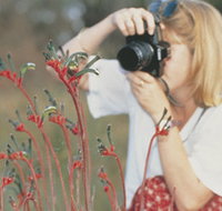 Gingin Cemetery - Tourism TAS