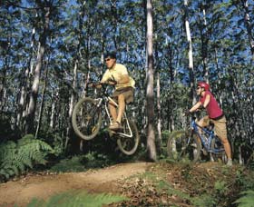 Leeuwin-Naturaliste National Park - Cowaramup - Tourism TAS 0