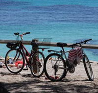 Parker Point Marine Snorkel Trail - Hobart Tourism