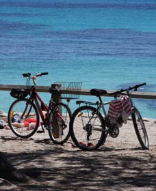 Parker Point Marine Snorkel Trail - Tourism TAS 0