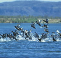 Ord River - Hobart Tourism