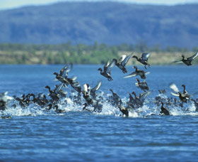 Ord River - Hobart Tourism 0