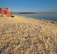 Shell Beach - Tourism TAS