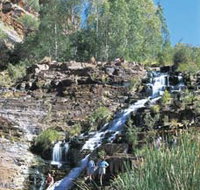 Fortescue Falls - Tourism TAS