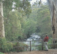 Cascades - Tourism TAS