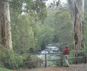 Cascades - Tourism TAS 0