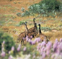 Jurabi Coastal Reserve - Tourism TAS