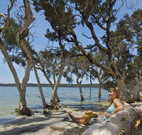 Stokes National Park - Tourism TAS