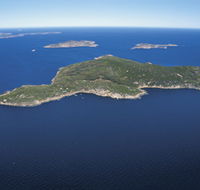 Woody Island Nature Reserve - Tourism TAS