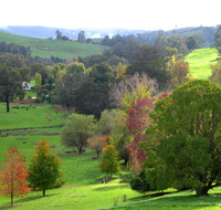 Golden Valley Tree Park - Tourism TAS