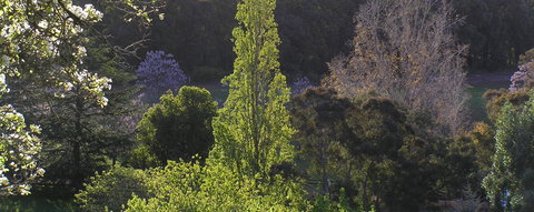 Golden Valley Tree Park - Tourism TAS 3