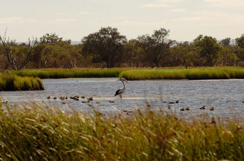 Anytime Adventures In Mandurah & The Peel Region - Tourism TAS 0