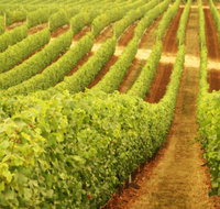 Fermoy Estate - Tourism TAS