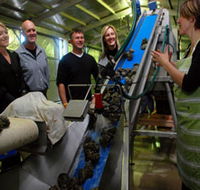 Eyre Peninsula's Seafood Trail - Hobart Tourism