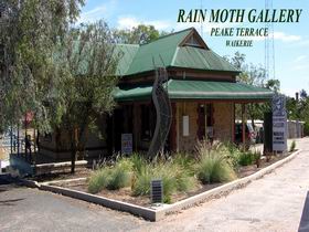 Rain Moth Gallery - Tourism TAS 0