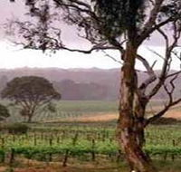 Yangarra Estate Vineyard - Tourism TAS