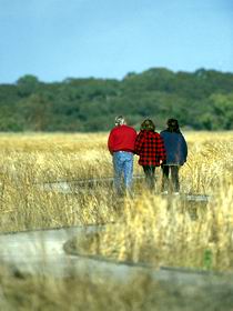 Noarlunga Downs SA Tourism TAS