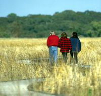 Onkaparinga River Recreation Park - Tourism TAS