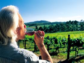 Ashton Hills Vineyard - Tourism TAS 0