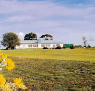 Lucindale Country Club - Tourism TAS