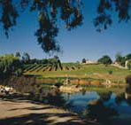 Mount Hurtle Winery home of Geoff Merrill Wines - Tourism TAS