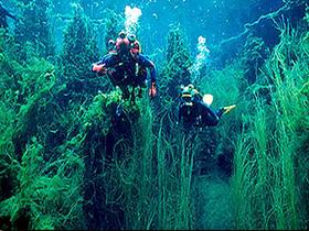 Ewens Ponds Conservation Park - Tourism TAS 0