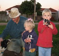 Orrie Cowie Merino and Poll Merino Stud - Tourism TAS