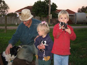 Orrie Cowie Merino And Poll Merino Stud - Tourism TAS 0