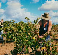 Torbreck Vintners - Hobart Tourism