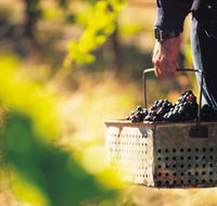 Burge Family Winemakers - Hobart Tourism