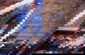 City Sk8 Park - Tourism TAS 0