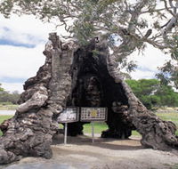 The Herbig Family Tree - Tourism TAS